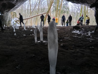 /album/fotogalerie-zimni-pozorice-sobota-17-ledna-2026/img-20260117-113655-jpg/