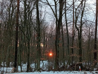 /album/fotogalerie-zimni-pozorice-sobota-17-ledna-2026/img-20260117-161354-jpg/