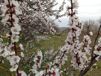 /album/fotogalerie-posezeni-ve-sklipku-misi-plesingra-v-pavlovicich-sobota-28-3-2026/img-20260328-132628-jpg/