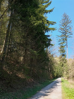 /album/fotogalerie-otvirani-studanek-sobota-18-4-2026/img-20260418-124940-jpg/