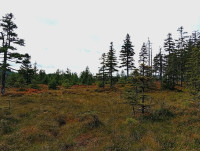 /album/fotogalerie-podzimni-vandr-jeseniky-str-16-9-ne-20-9-2026/img-20260919-103346-jpg/