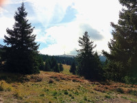 /album/fotogalerie-podzimni-vandr-jeseniky-str-16-9-ne-20-9-2026/img-20260919-110723-jpg/